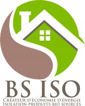 Logo-BS-ISO-50.jpg